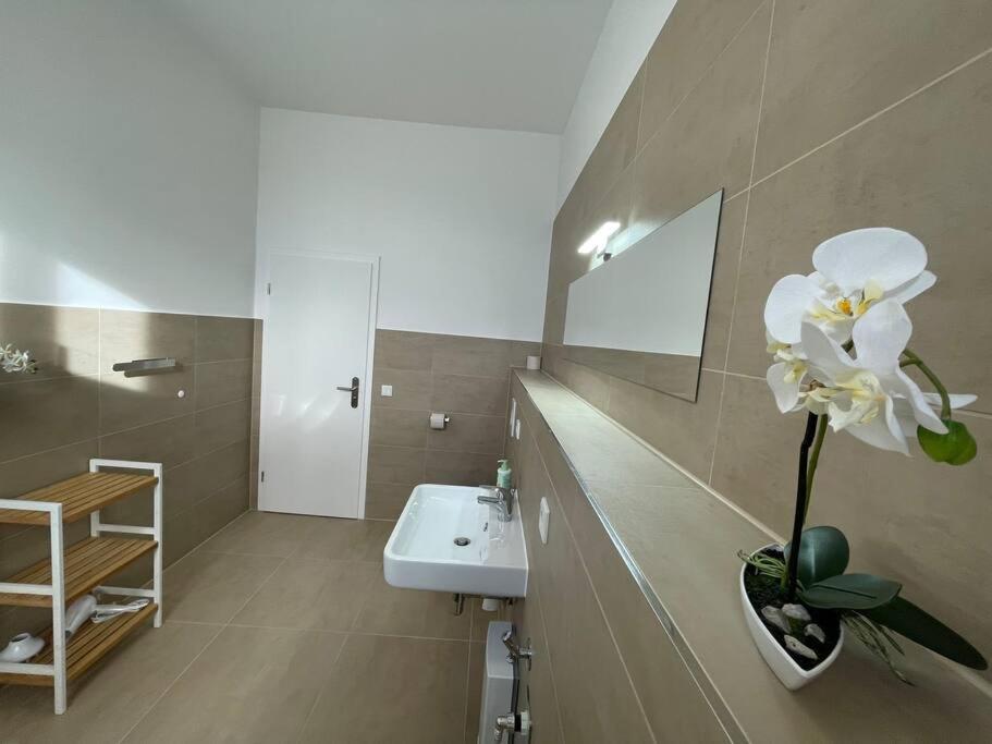Lucky Stays Ls10 - Vollausstattung - Zentrum - Aufzug - Grosse Kueche - 2 Zimmer - Smart-Tv Magdeburgo Exterior foto
